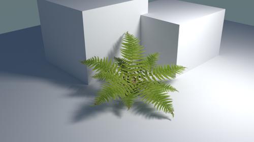 Fern for Cycles preview image